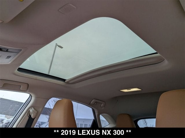 2019 Lexus NX 300 NX 300
