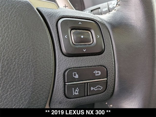2019 Lexus NX 300 NX 300